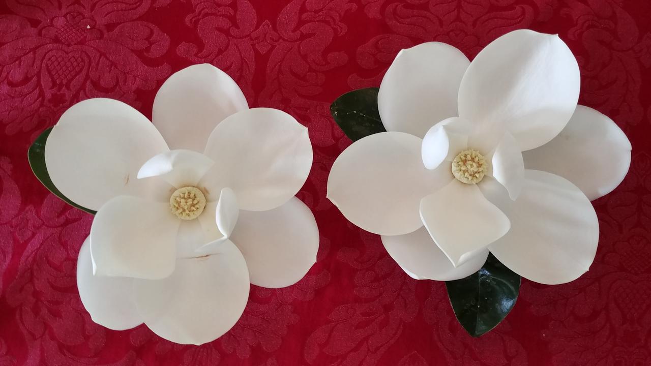 Fruits Of Vienna B&B Εξωτερικό φωτογραφία